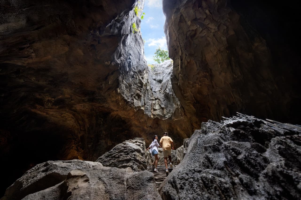 Mandai Destination Pass: Up to 2 Attractions in 1 Day - تصویر 8