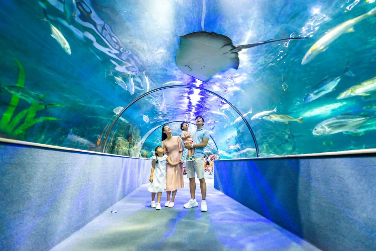 Vinpearl Aquarium Times City Hanoi Ticket - تصویر 2