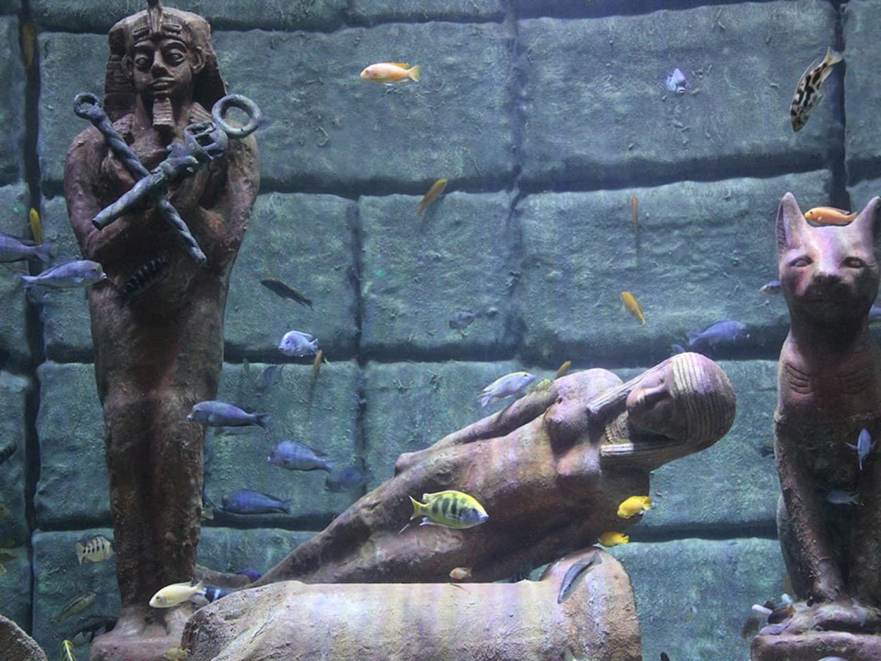 Antalya Aquarium and Face 2 Face Wax Museum Ticket - تصویر 4