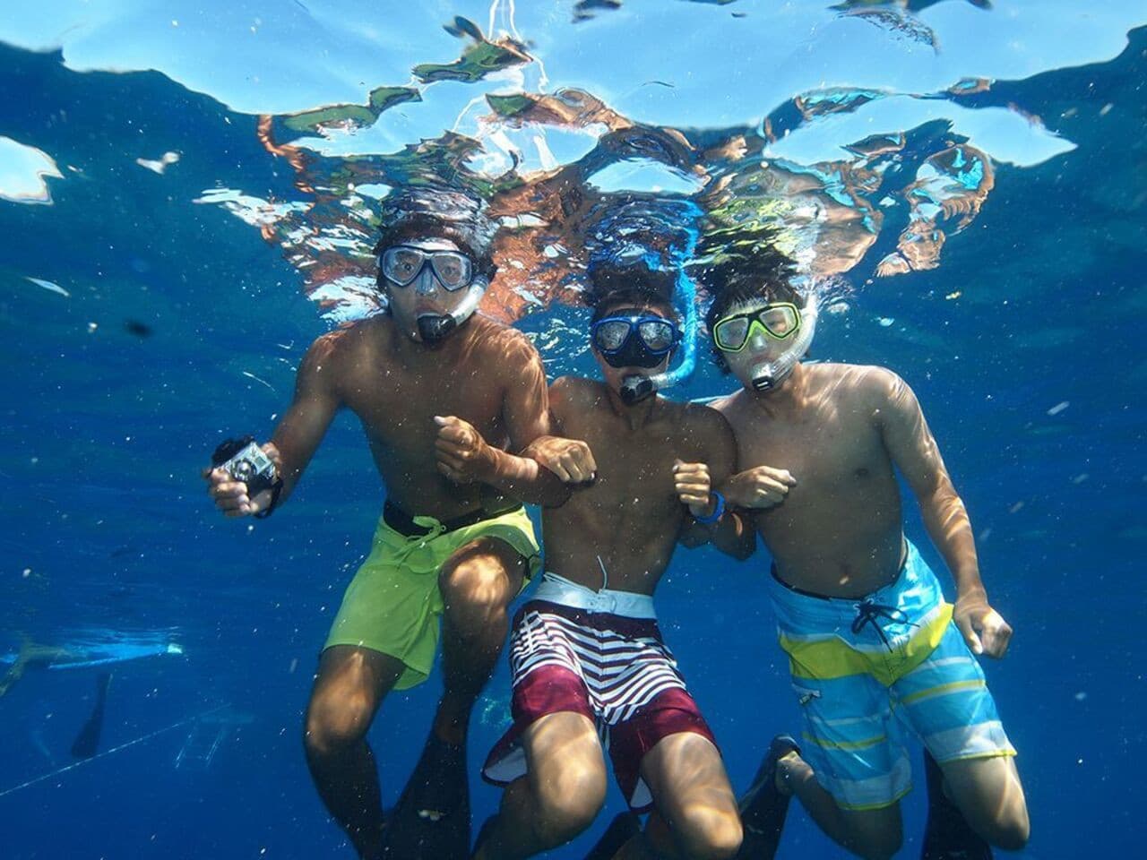 Nha Trang Island Hopping Tour - تصویر 2