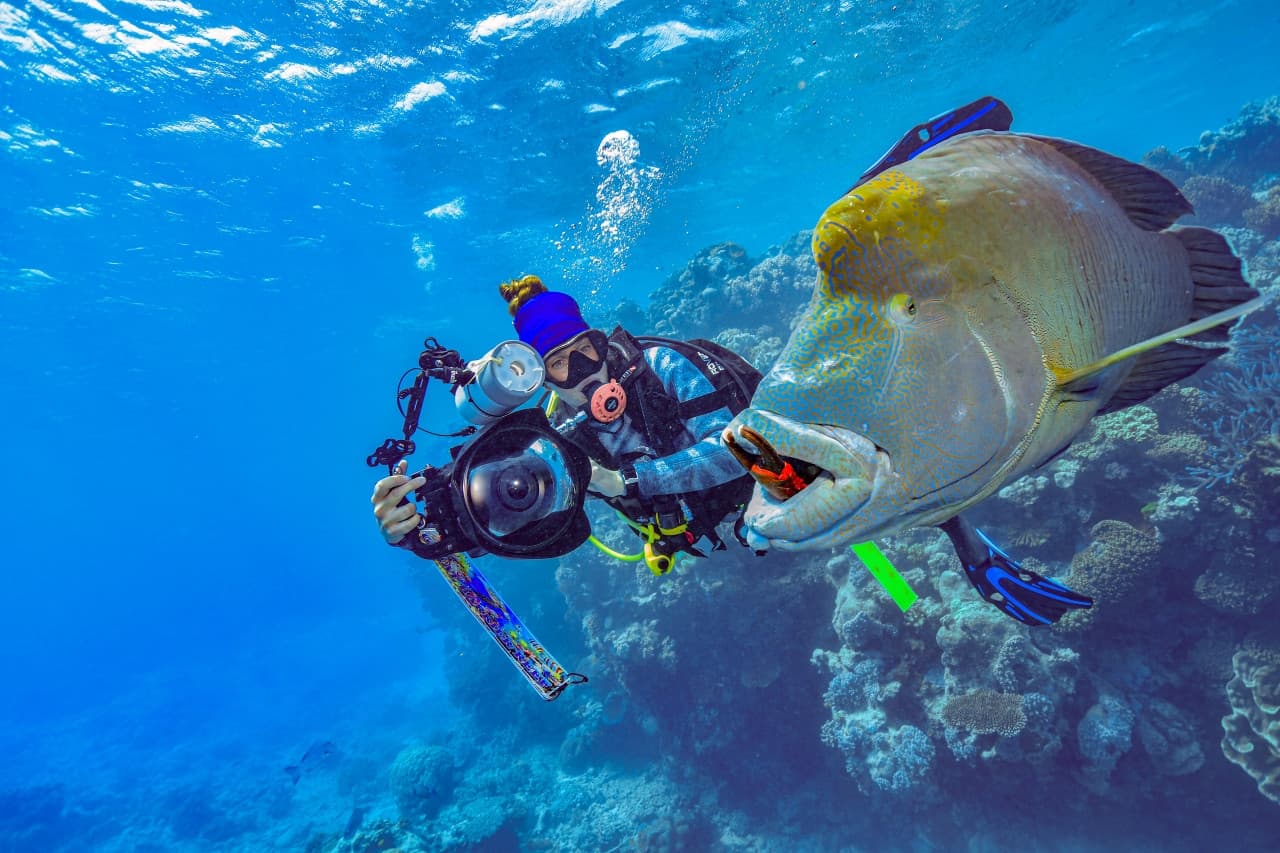 Reef Magic Pontoon Tour from Cairns - تصویر 12