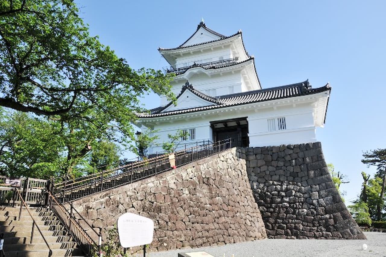 Odawara Castle Ticket - تصویر اصلی