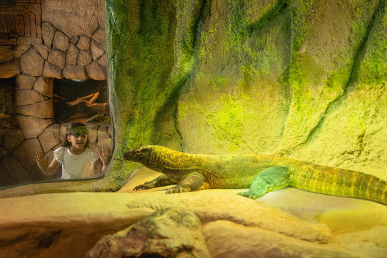 Dubai Safari Park Ticket - تصویر 15