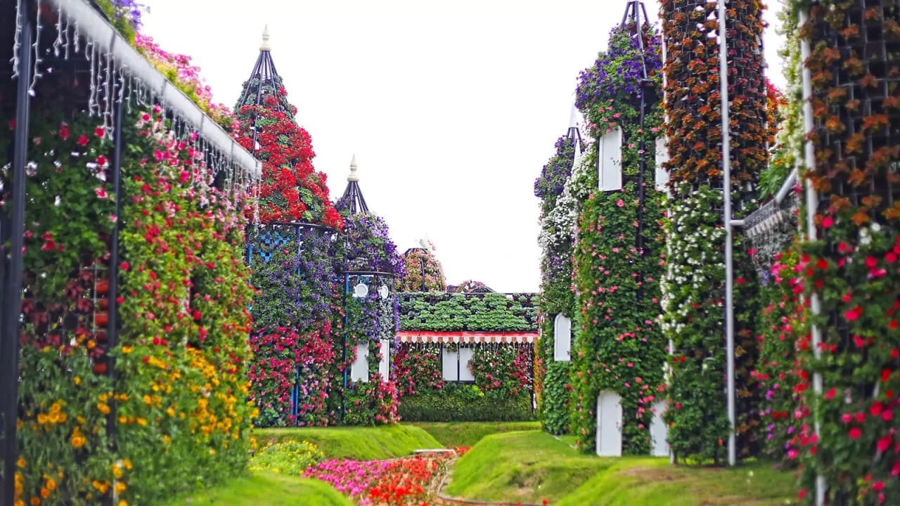 Dubai Miracle Garden Ticket - تصویر 7