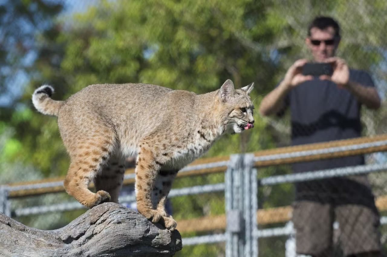 Zoo Miami Ticket - تصویر 5