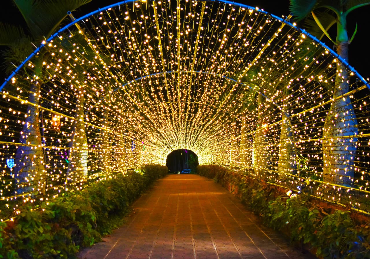 Okinawa Southeast Botanical Gardens - تصویر 17