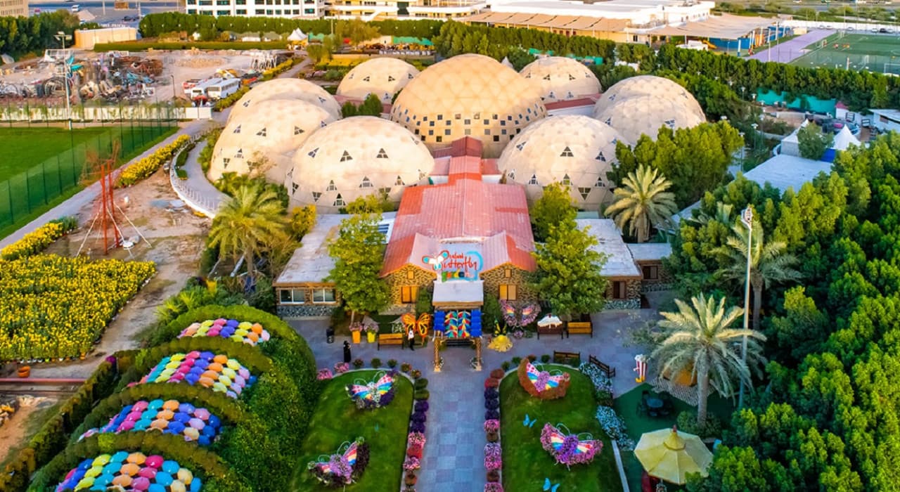 COMBO: Dubai Miracle Garden + Dubai Butterfly Garden Tickets - تصویر 8