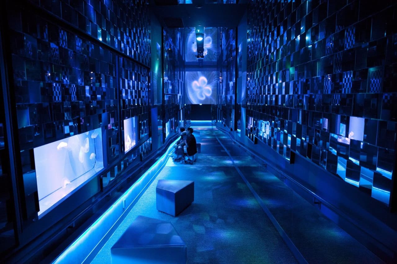 Sumida Aquarium Ticket - تصویر 11