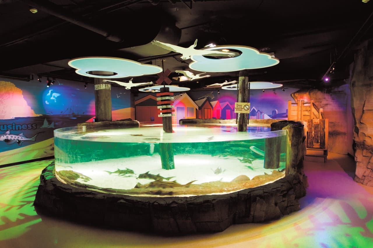 SEA LIFE Melbourne Aquarium Direct Entry Ticket - تصویر 15