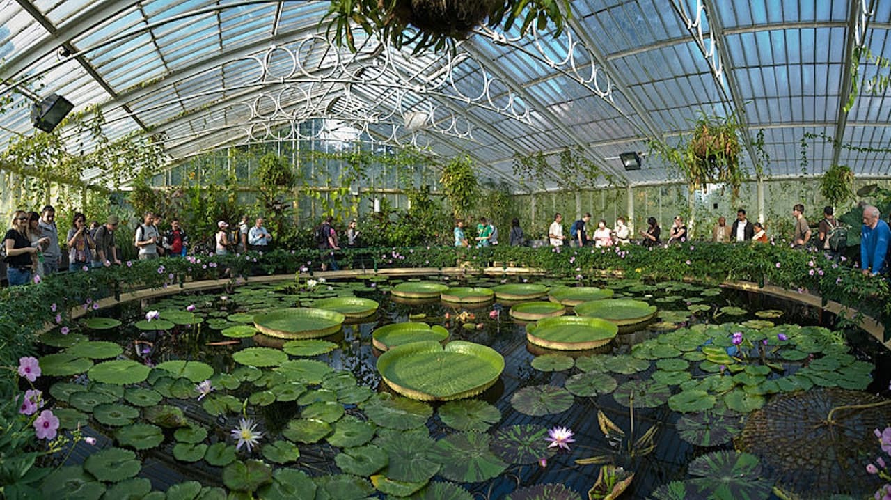 Kew Gardens - تصویر 2