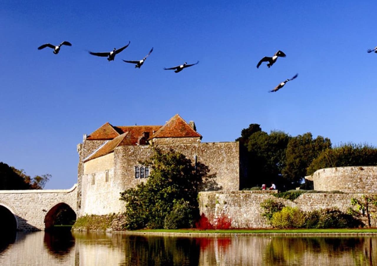 Leeds Castle, Canterbury, Dover, and Greenwich Tour from London - تصویر 20