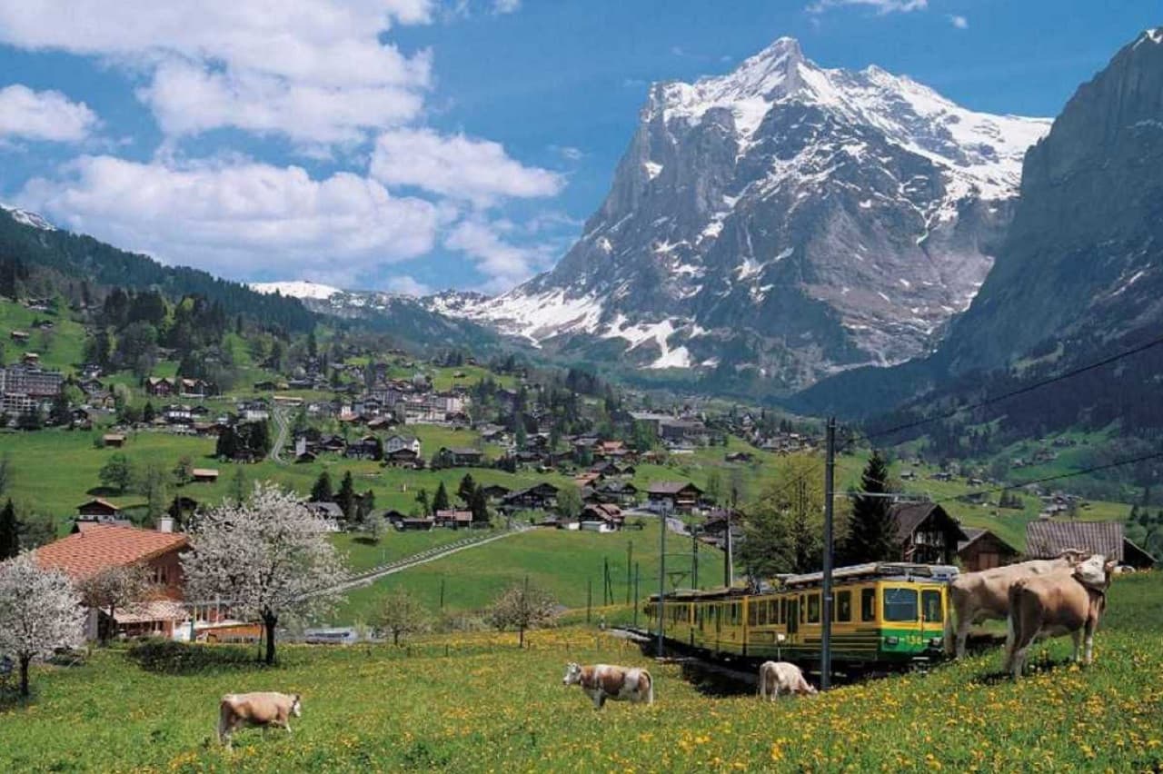 Grindelwald, Interlaken, and Lauterbrunnen Full-Day Tour - تصویر 2