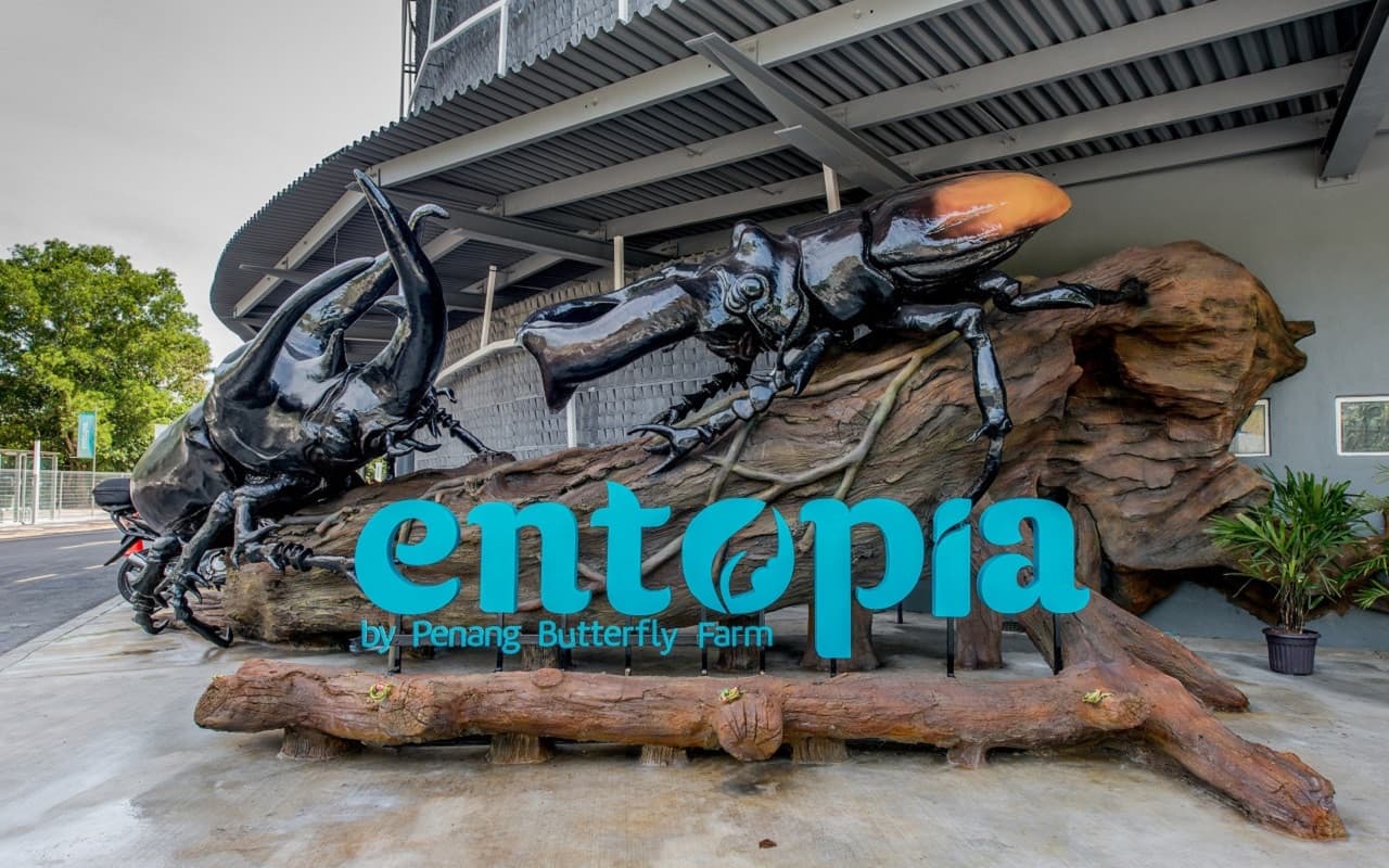 Entopia by Penang Butterfly Farm Ticket - تصویر 21