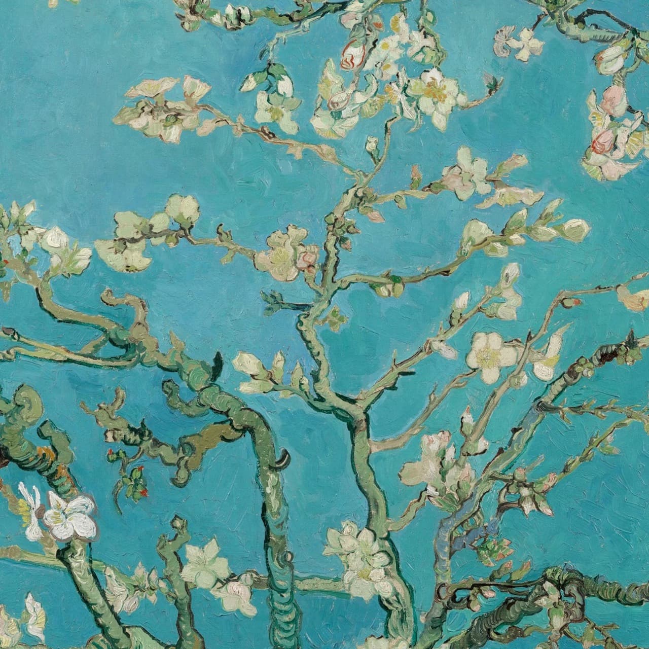 Van Gogh Museum + Amsterdam Canal Cruise Ticket - تصویر 5