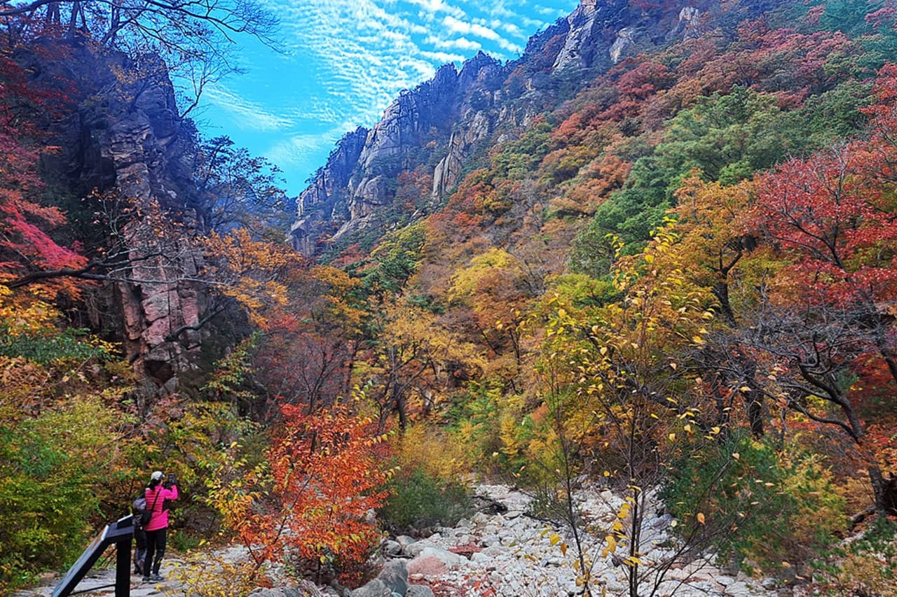 Nami Island and Mount Seorak Full-Day Tour from Seoul - تصویر 2