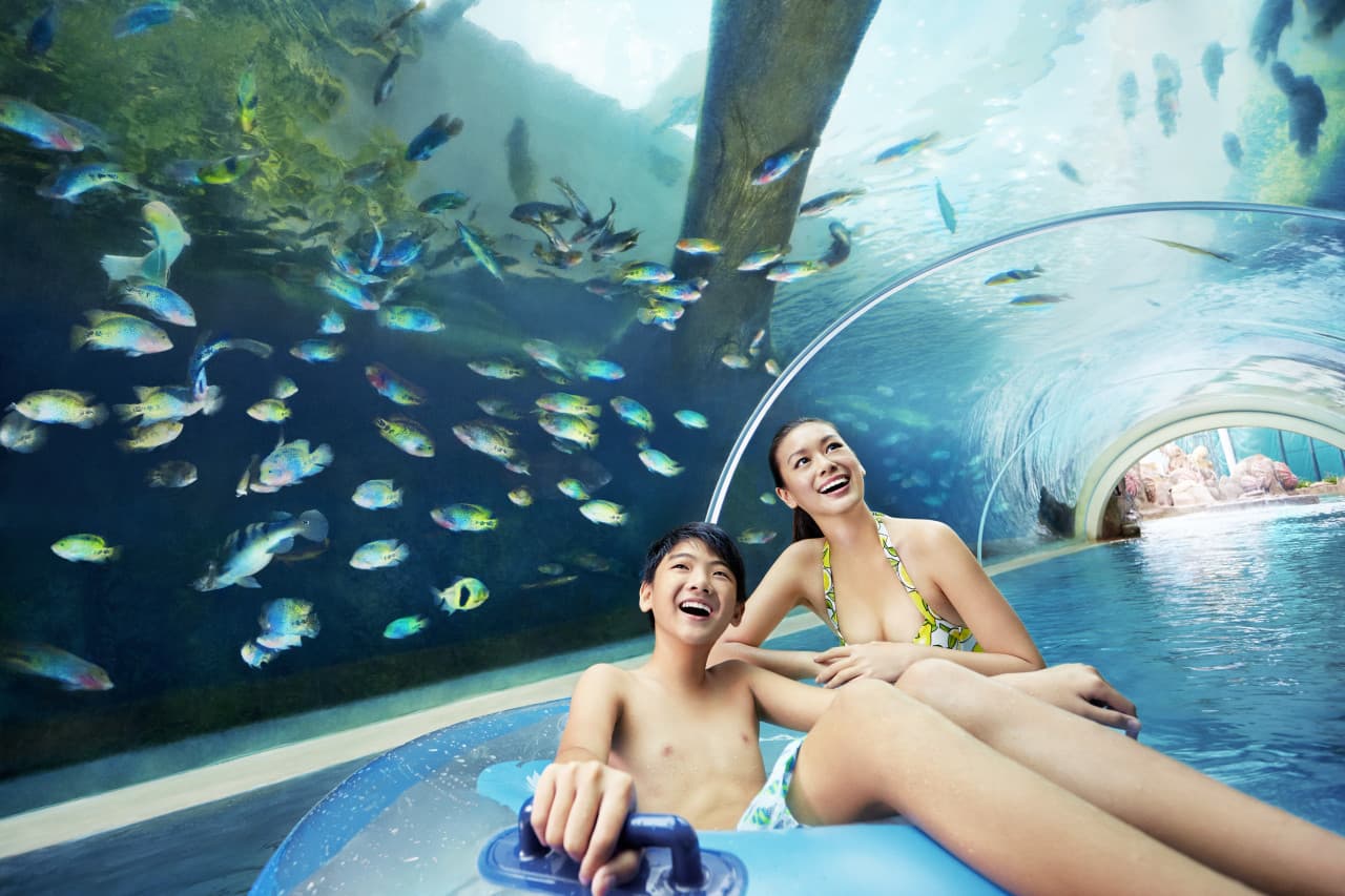 Adventure Cove Waterpark‎ Express Pass - تصویر 2