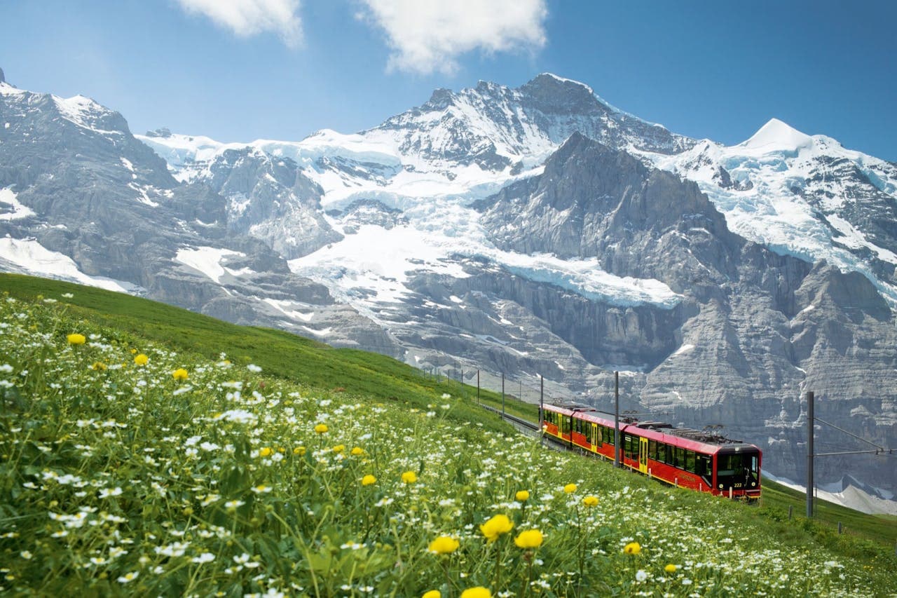 Jungfraujoch: Roundtrip Train from Grindelwald - تصویر 6