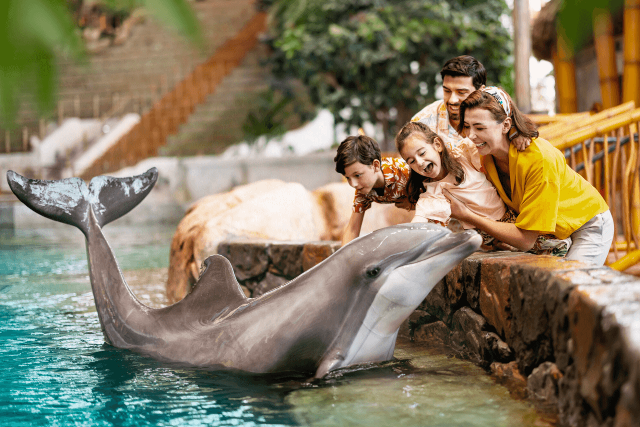 SeaWorld Abu Dhabi Ticket - تصویر 10