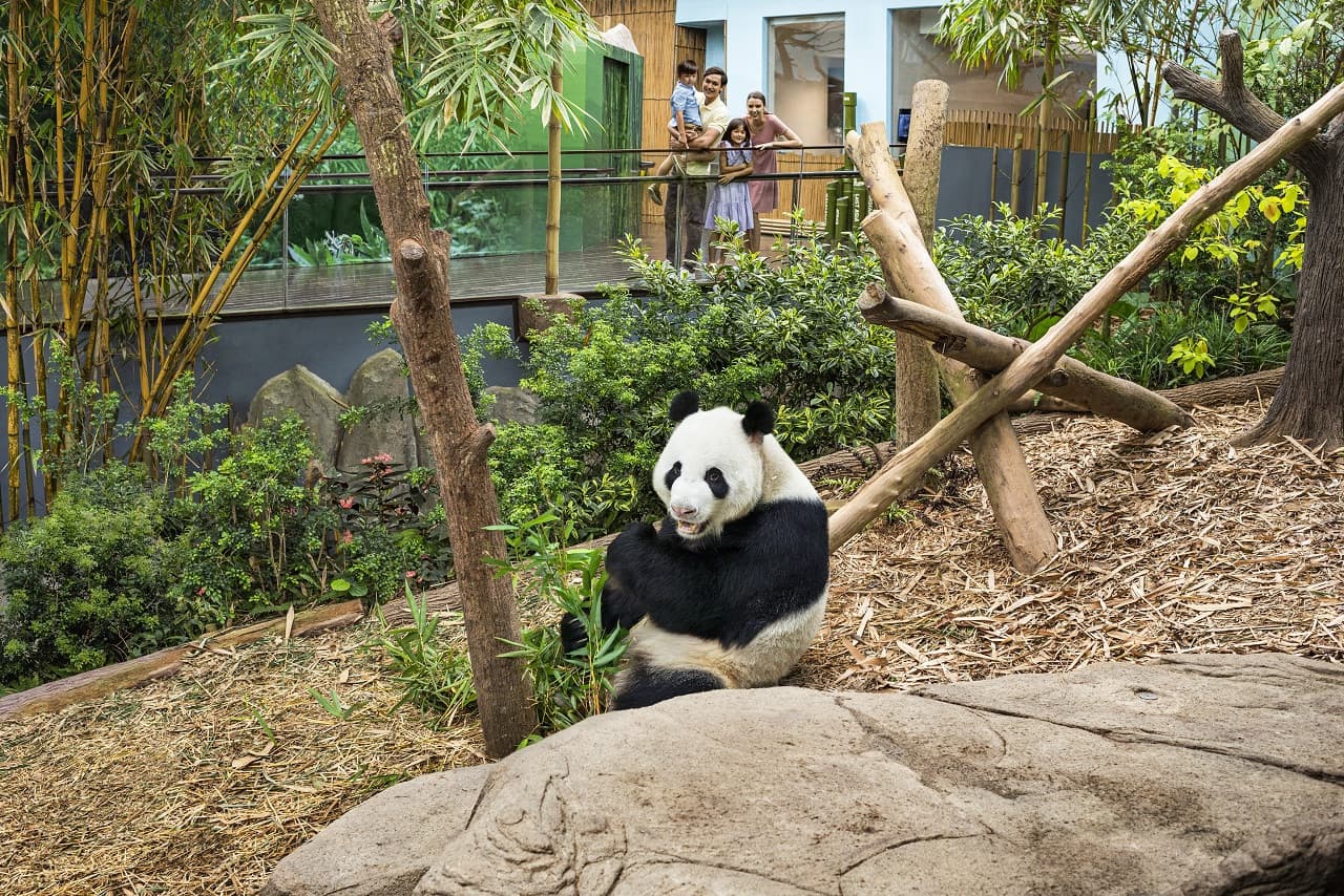COMBO: Singapore Zoo + River Wonders Ticket - تصویر 17