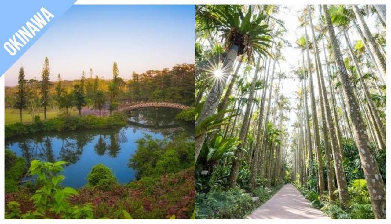 Have Fun in Okinawa Pass - 1 Week Free Pass - تصویر 5