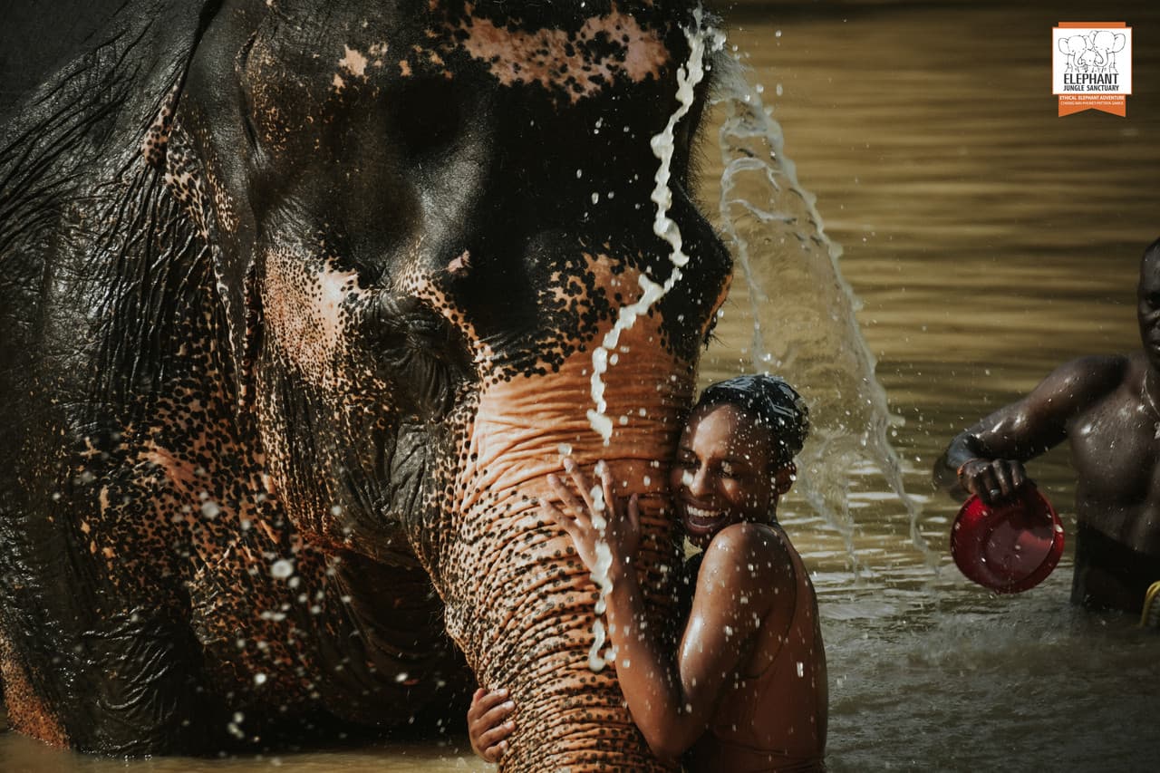 Elephant Jungle Sanctuary Phuket - تصویر 11