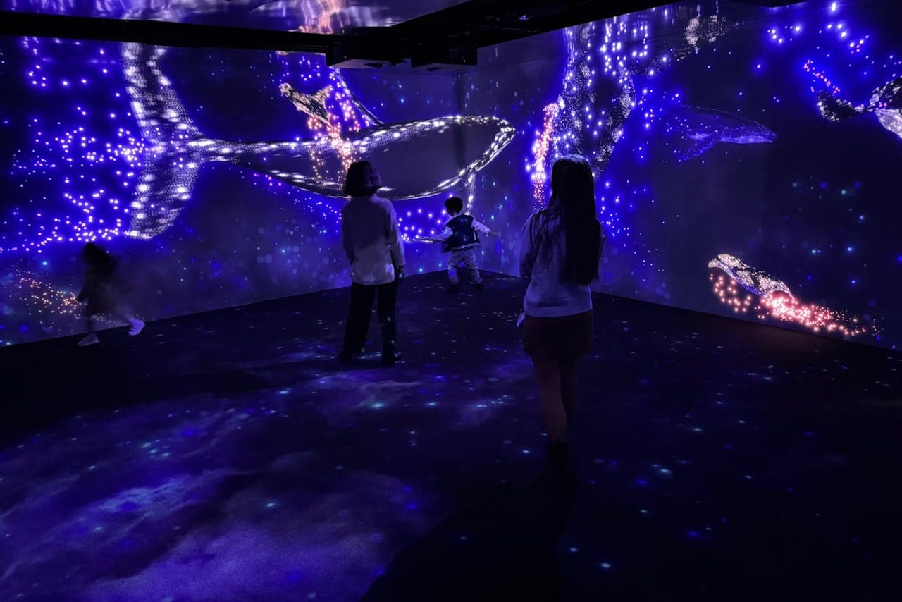 Oceanário de Lisboa Ticket - تصویر 16