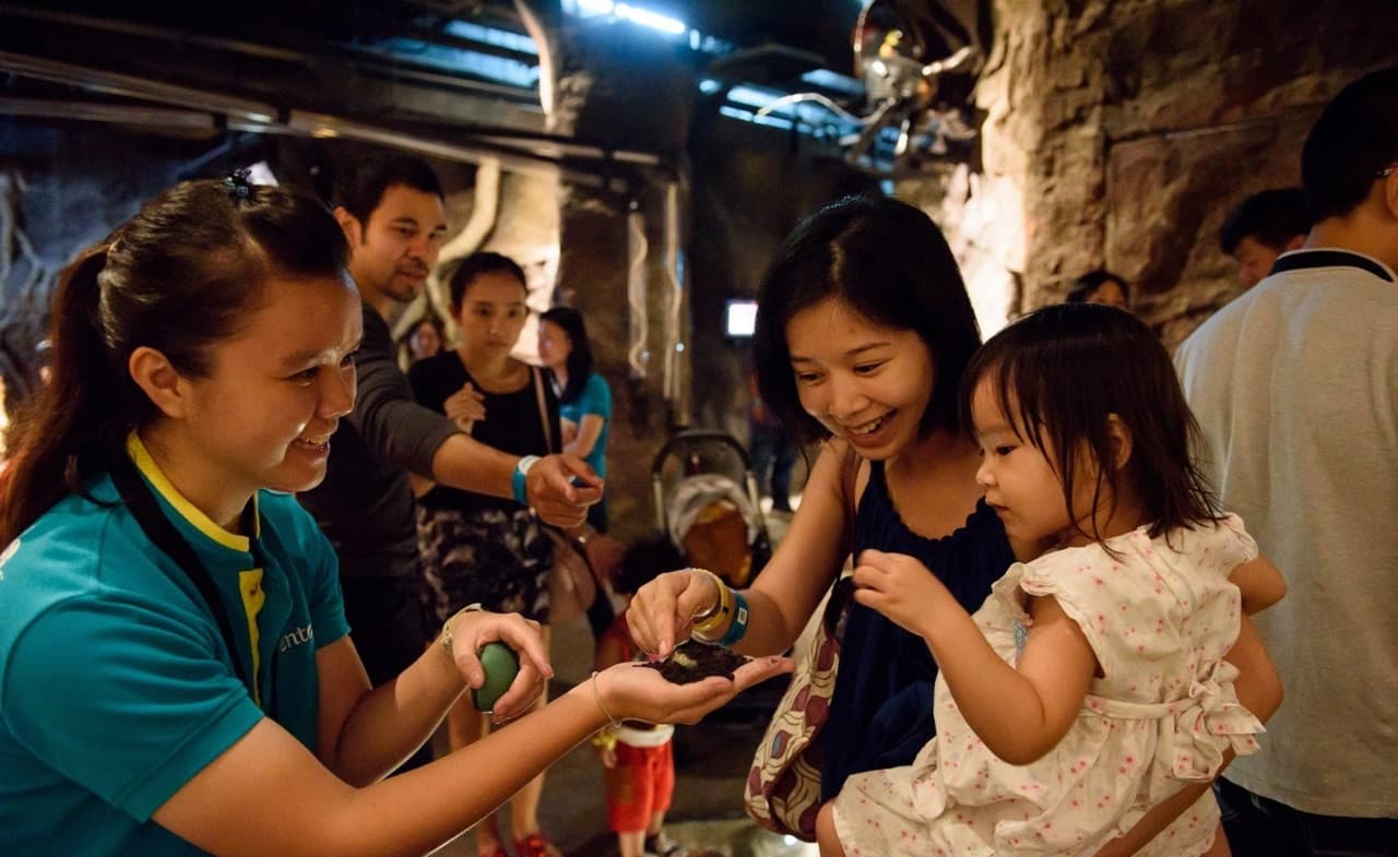 Entopia by Penang Butterfly Farm Ticket - تصویر 13