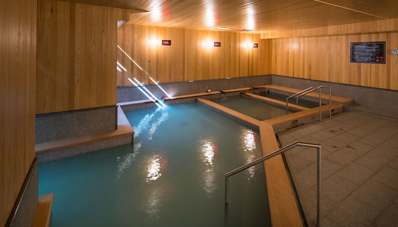 Public Hot Spring Experience at Asia Pacific Hotel Beitou - تصویر 6