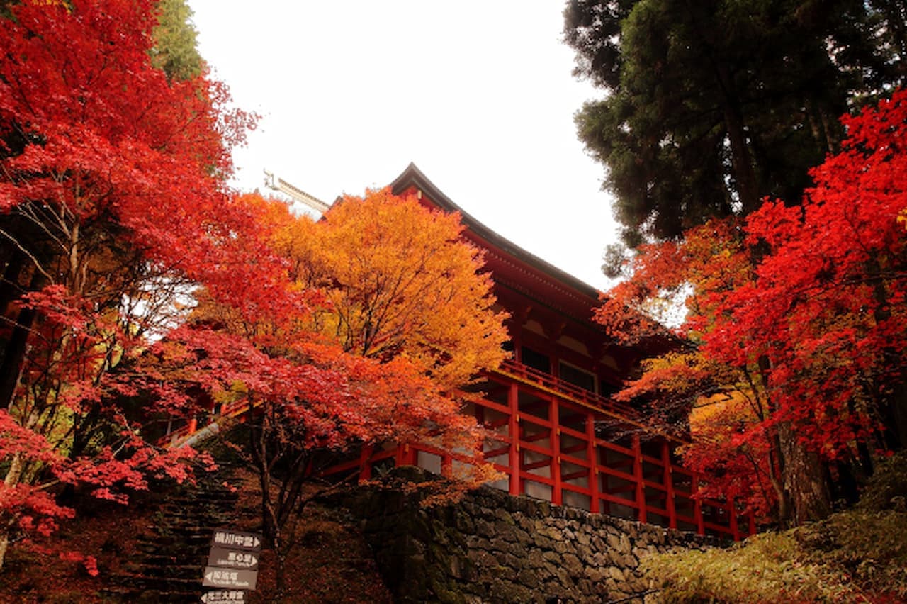 Enryaku‐ji Temple Ticket - تصویر 2