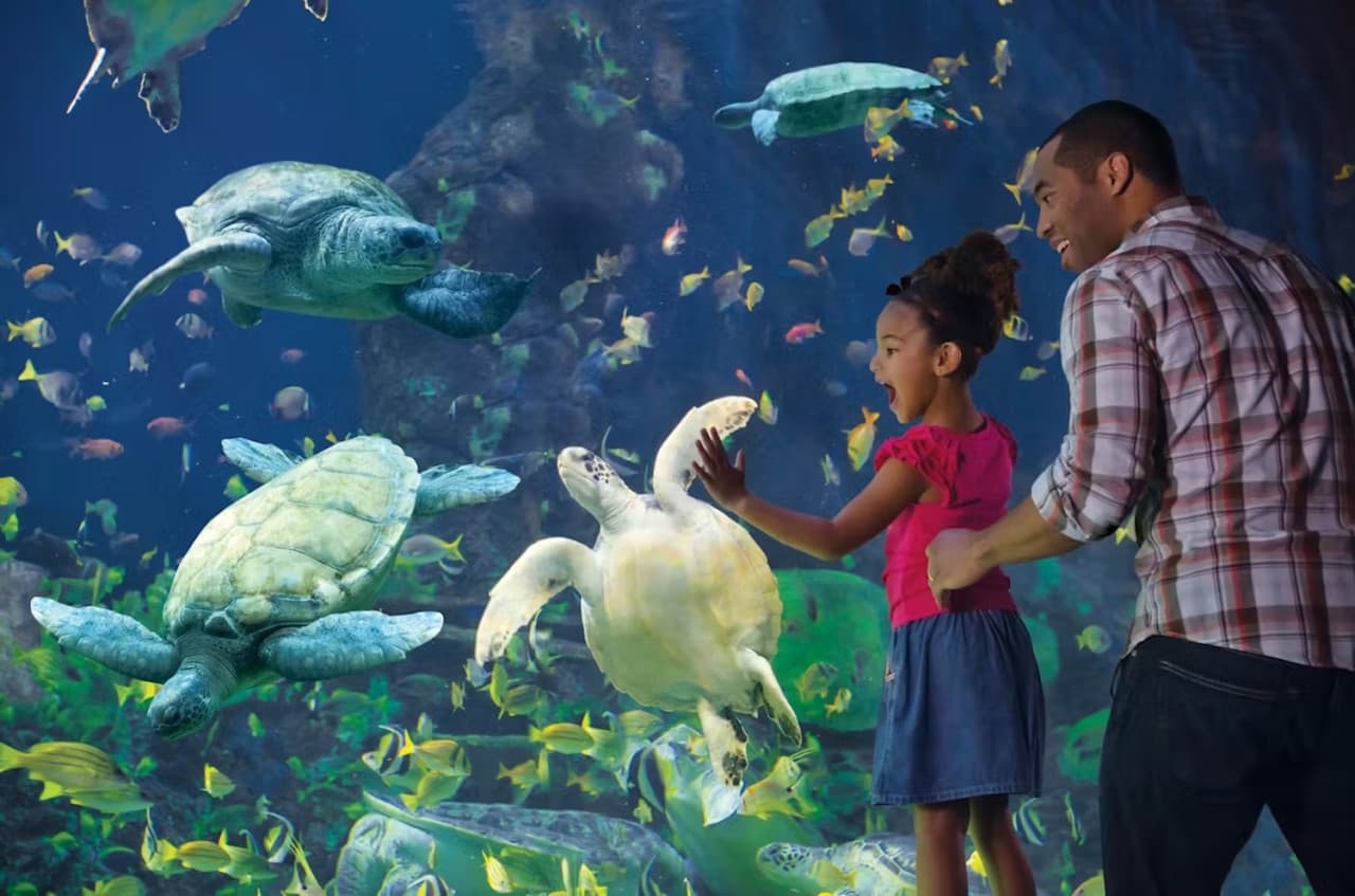 SeaWorld San Diego Ticket: Direct Entry - تصویر 10