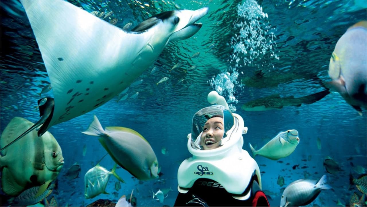 Ultimate Marine Life Experience at Adventure Cove Waterpark - تصویر 2