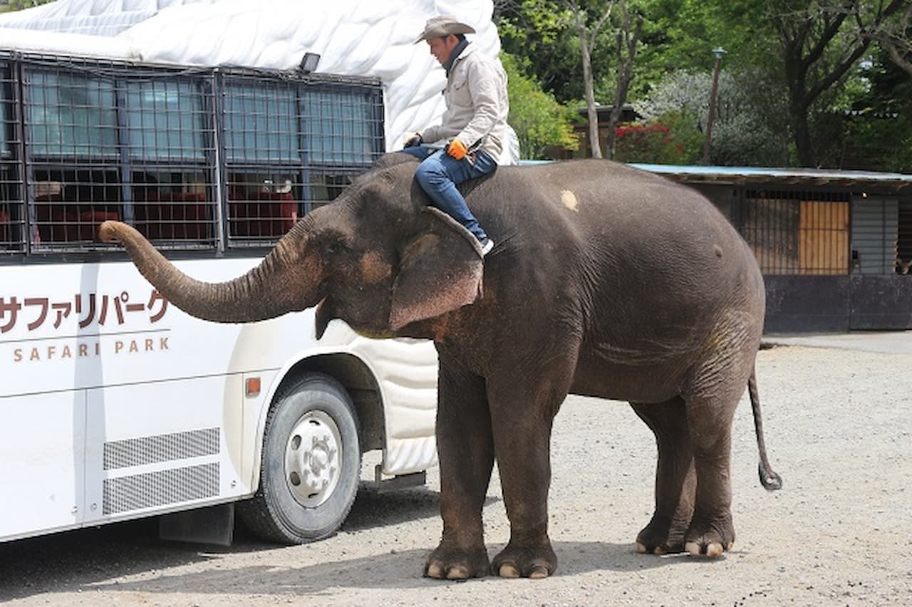 Nasu Safari Park Ticket - تصویر 2
