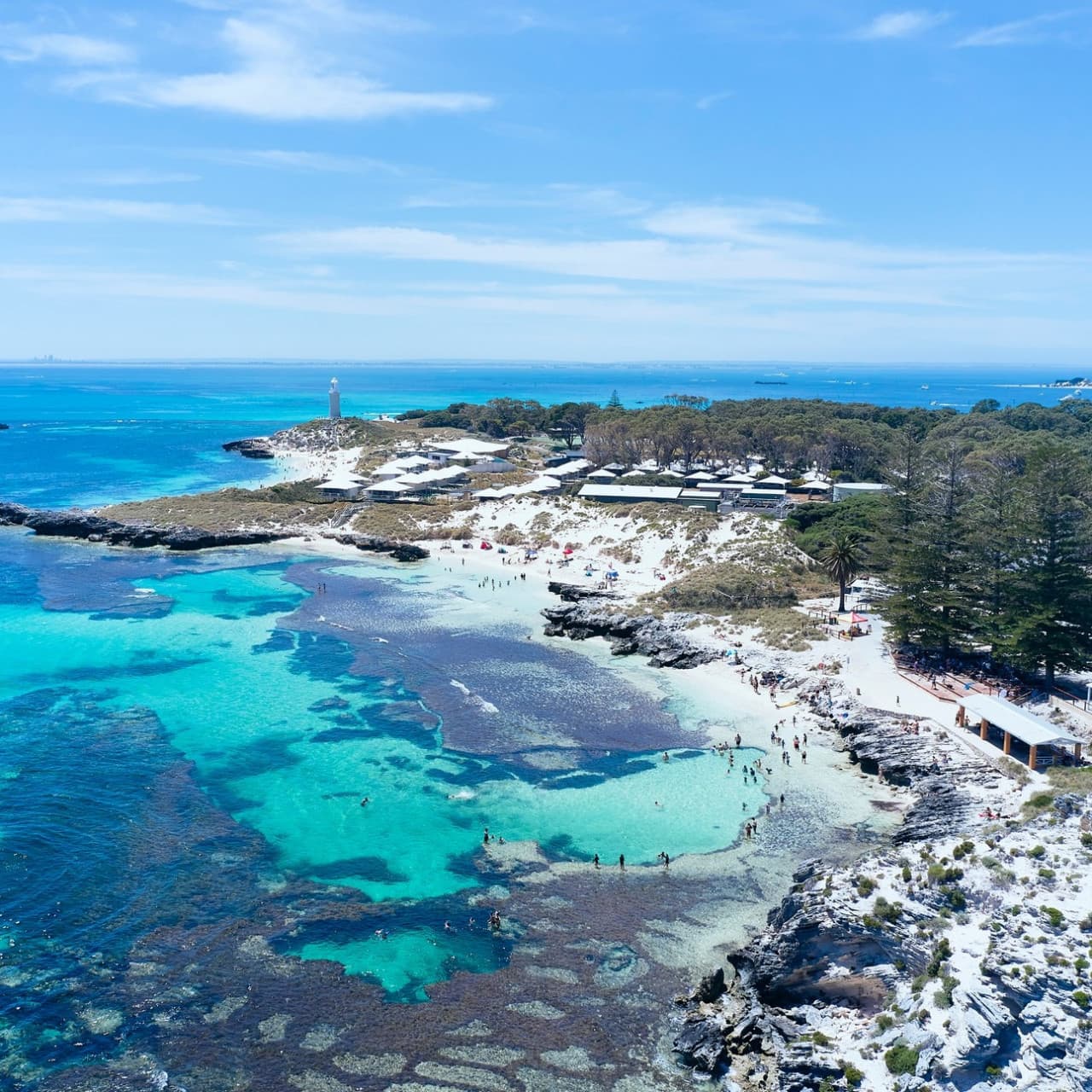 Rottnest Island Bayseeker Bus Tour with Round Trip SeaLink Ferry Transfer - تصویر 4