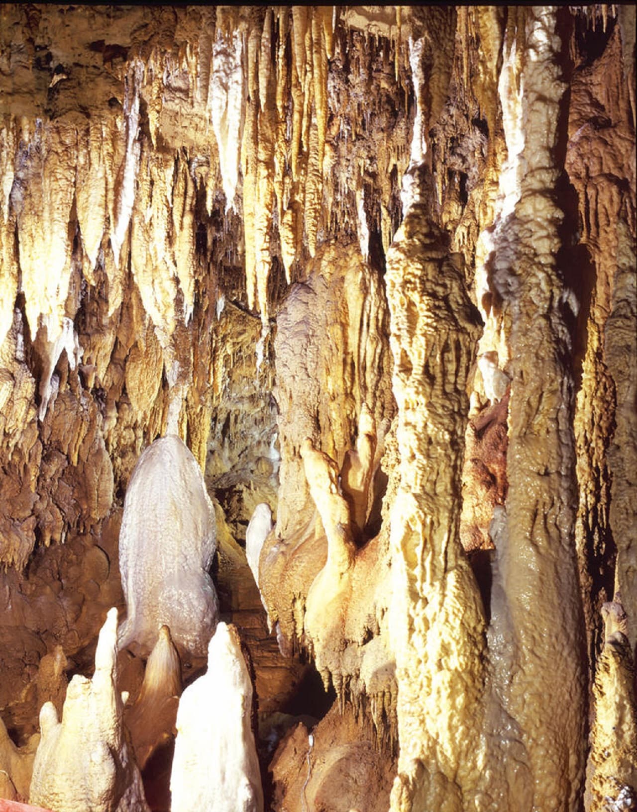Okinawa World Pass - تصویر 6
