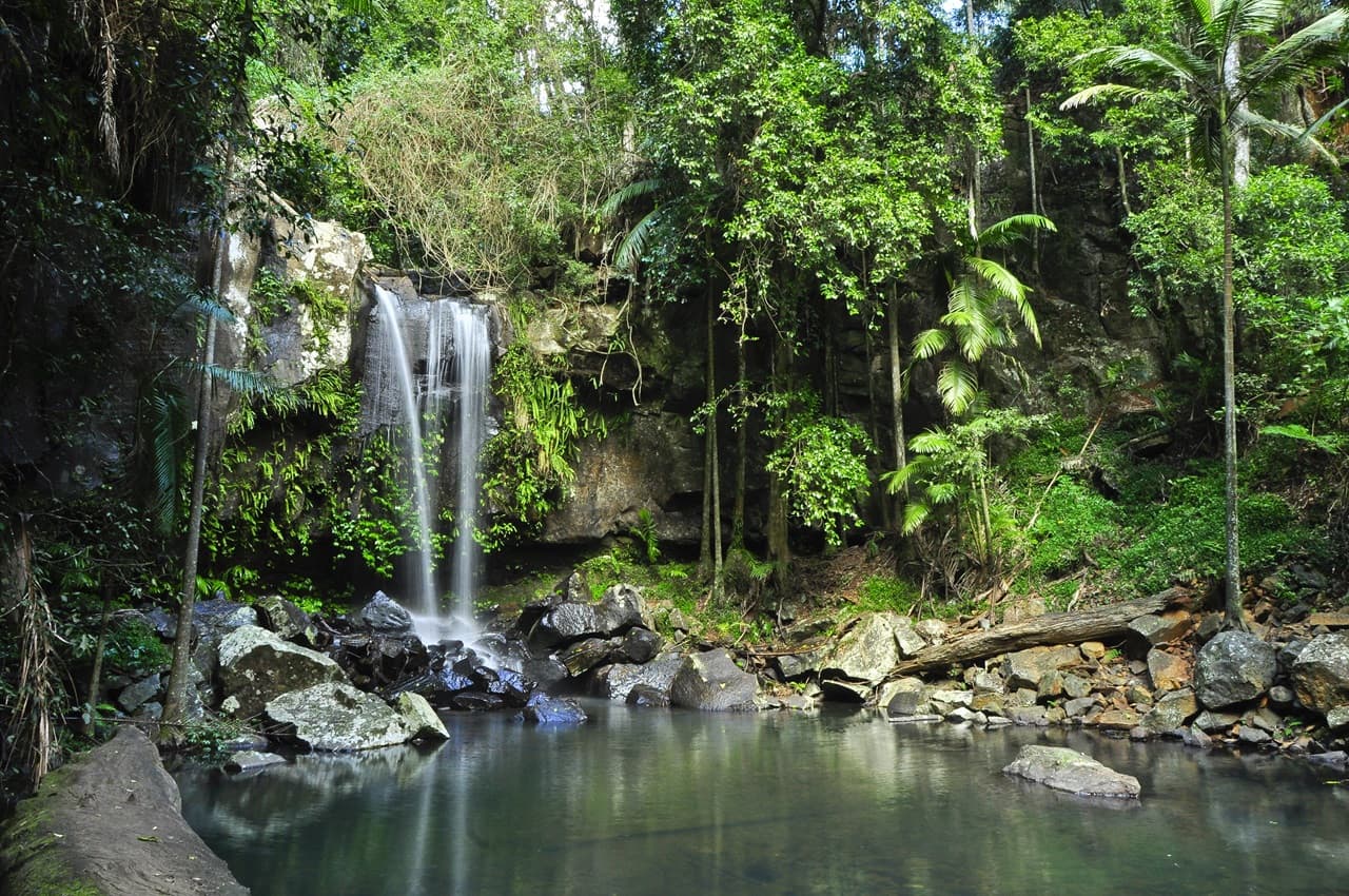 Tamborine Mountain Guided Walk and Wine Tasting Tour - تصویر 11