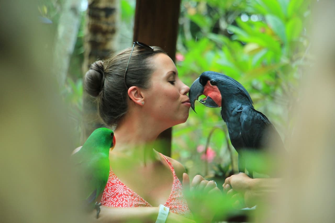 Lombok Wildlife Park: Intimate Wildlife Experience - تصویر اصلی