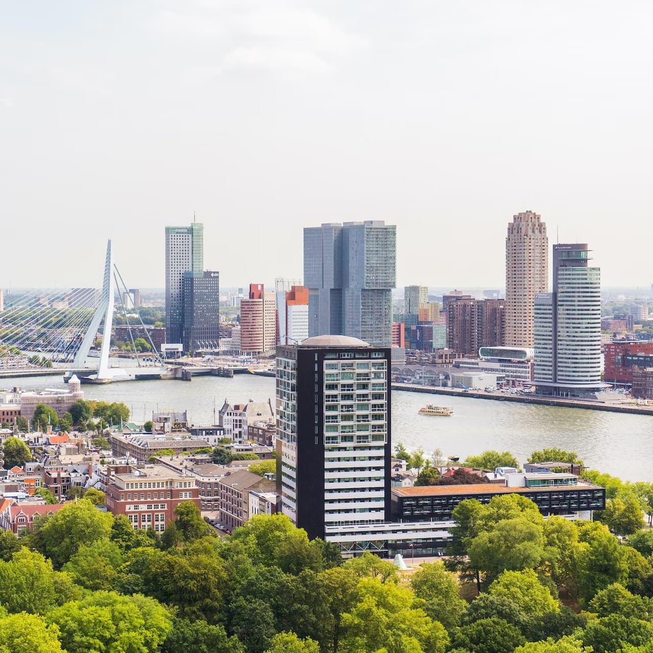 The Hague, Delft, and Rotterdam Full-Day Tour from Amsterdam - تصویر 6