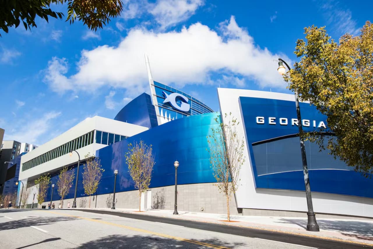 Georgia Aquarium: Fast Track Ticket - تصویر اصلی