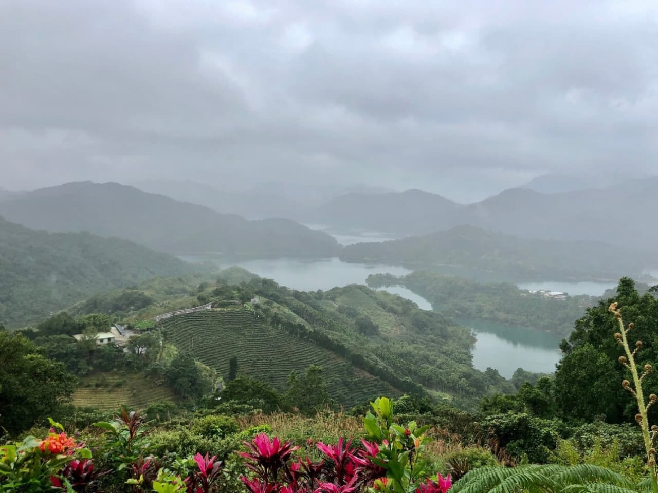 Pinglin Tea Culture and Maokong Full-Day Tour from Taipei - تصویر 5