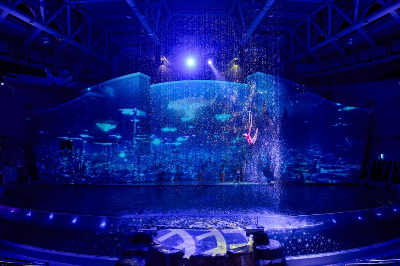 Aqua Planet Jeju Aquarium Ticket - تصویر 5
