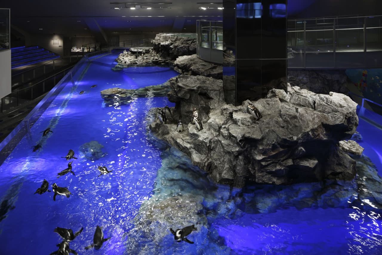 Sumida Aquarium Ticket - تصویر 10