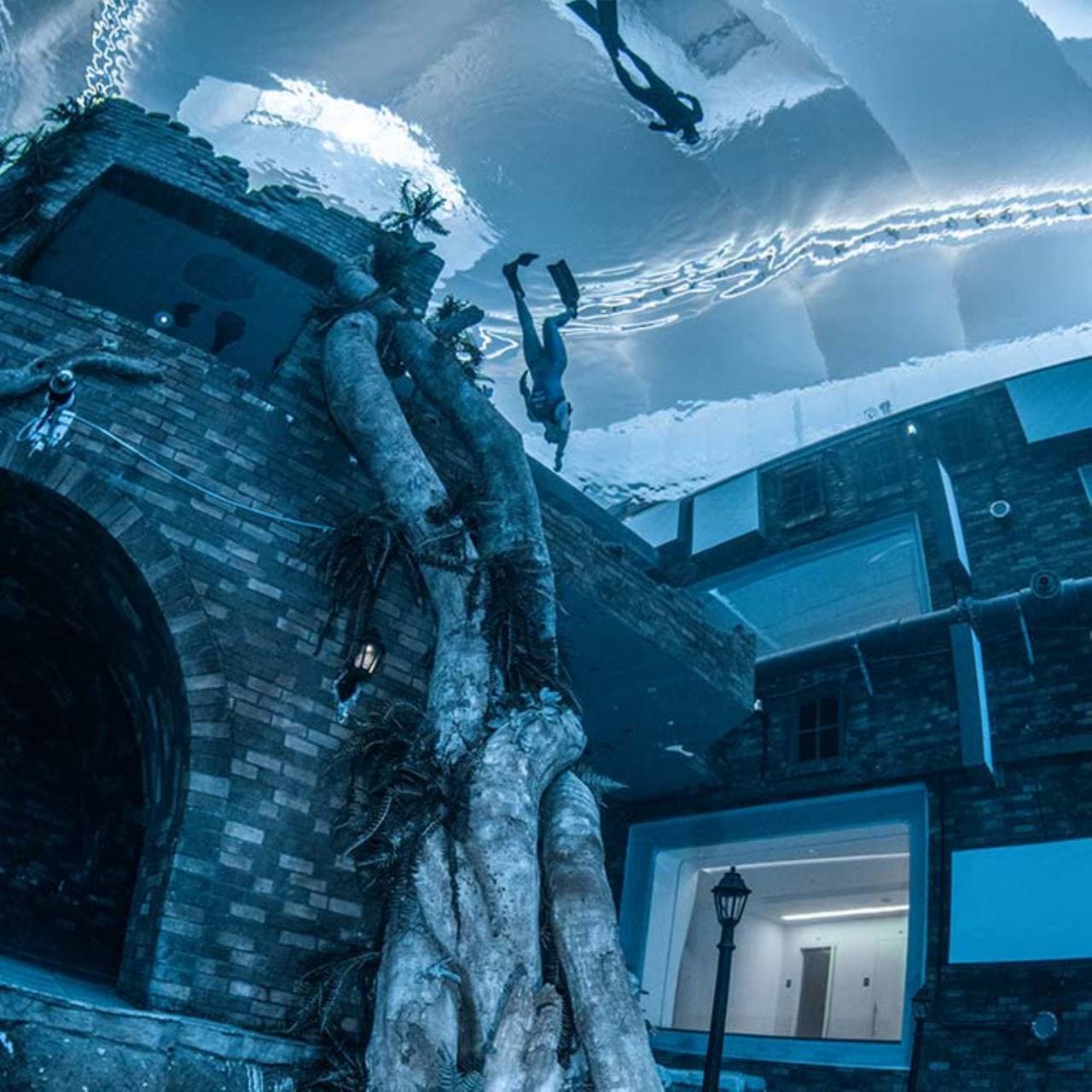 Scuba Diving and Snorkelling at Deep Dive Dubai - تصویر 4