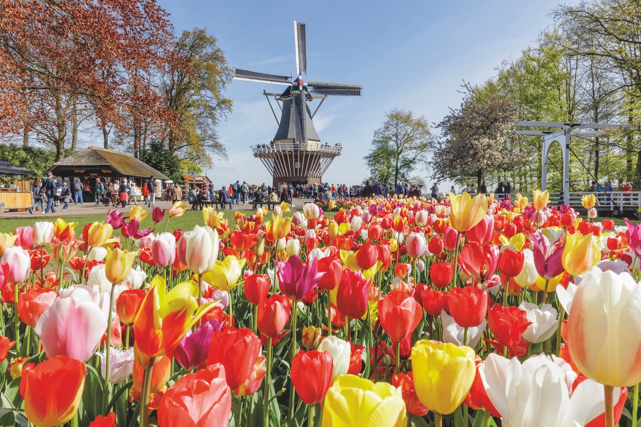 Go City Amsterdam Explorer Pass: Save up to 50% on Attractions - تصویر 29