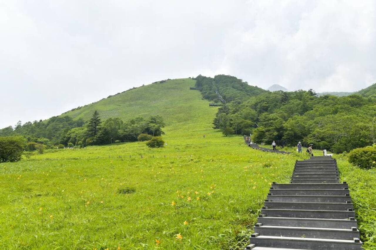 Nikko Pass All Area - تصویر 7