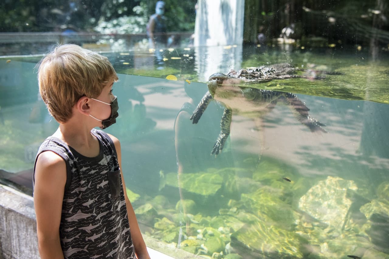 Bronx Zoo - تصویر 2
