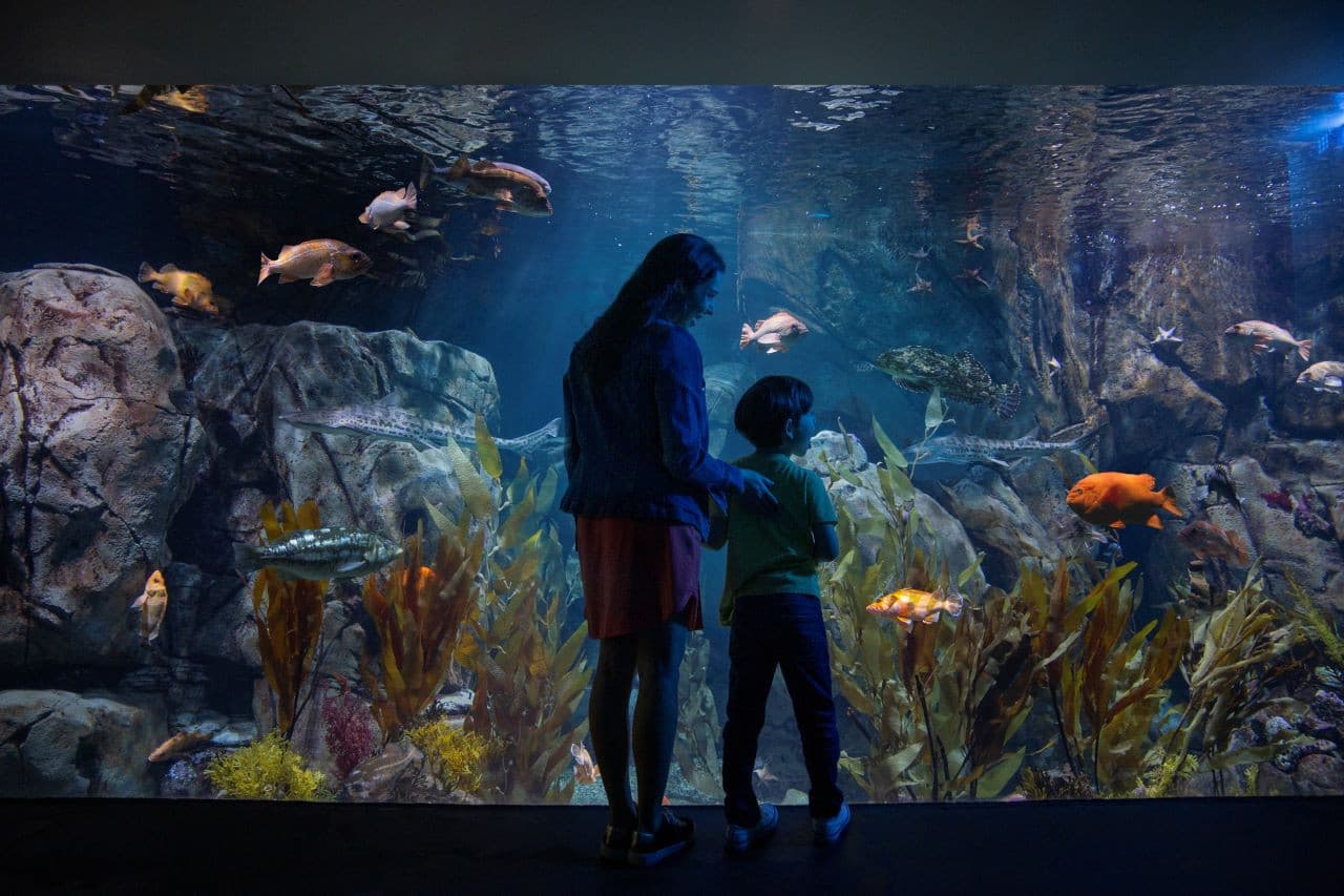 Go City Los Angeles All-Inclusive Pass: Save up to 50% on Attractions - تصویر 6