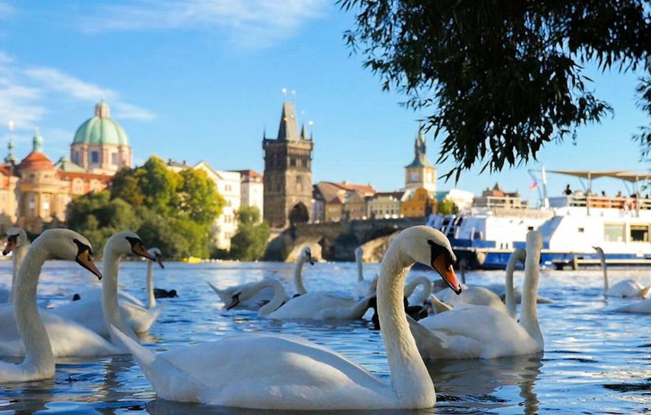 Prague River Cruise - تصویر 2