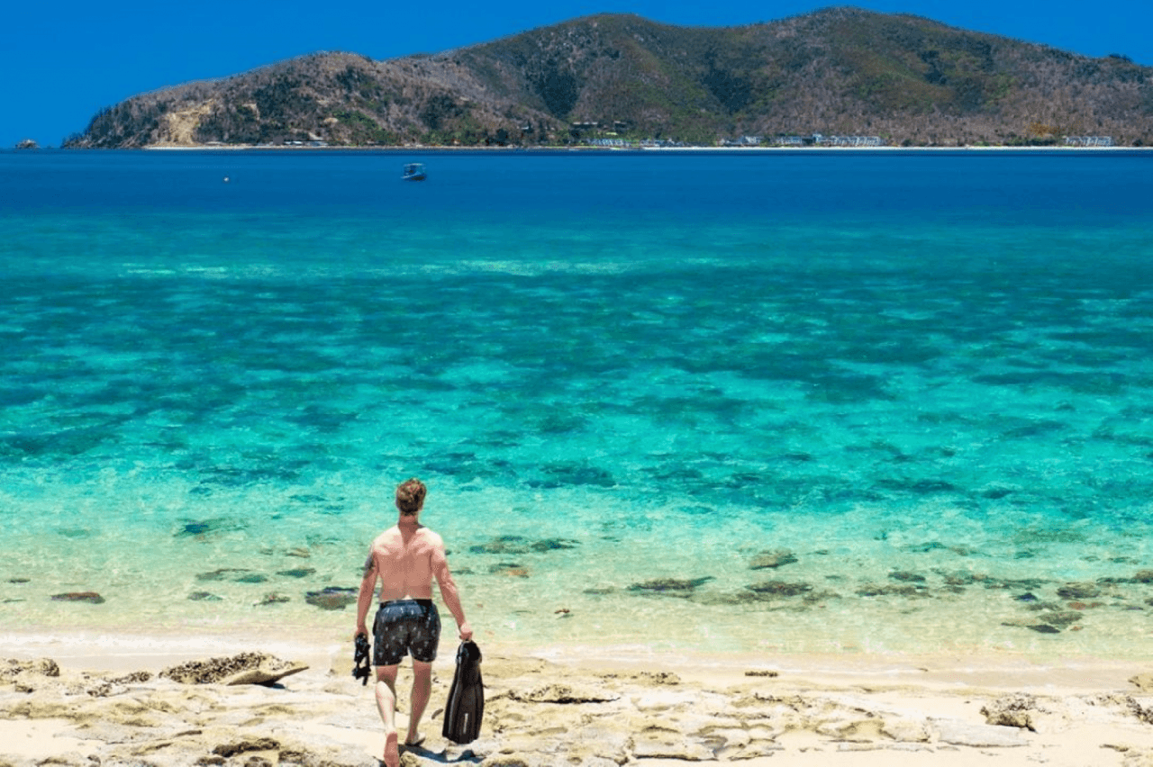 Tongarra Day Sailing Tour - تصویر 6