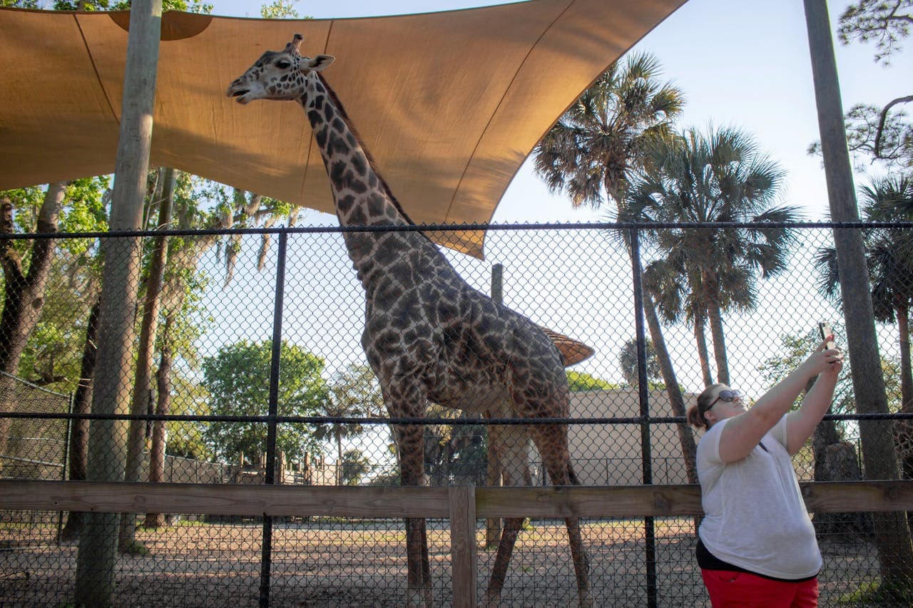 Central Florida Zoo & Botanical Gardens Ticket - تصویر 16