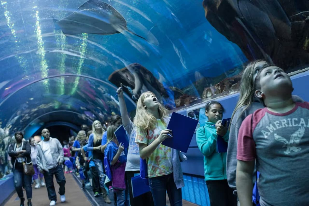 Georgia Aquarium: Fast Track Ticket - تصویر 3